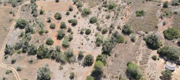 7320m² Land in Sao Bartolomeu de Messines, Portugal No. 51279 6