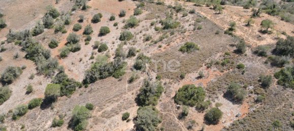 7320m² Land in Sao Bartolomeu de Messines, Portugal No. 51279 7