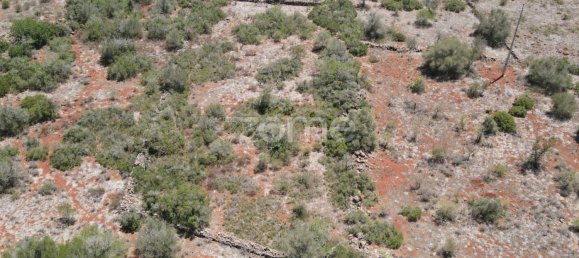 7320m² Land in Sao Bartolomeu de Messines, Portugal No. 51279 14