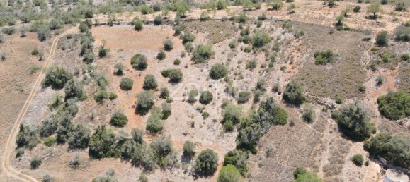 7320m² Land in Sao Bartolomeu de Messines, Portugal No. 51279 15