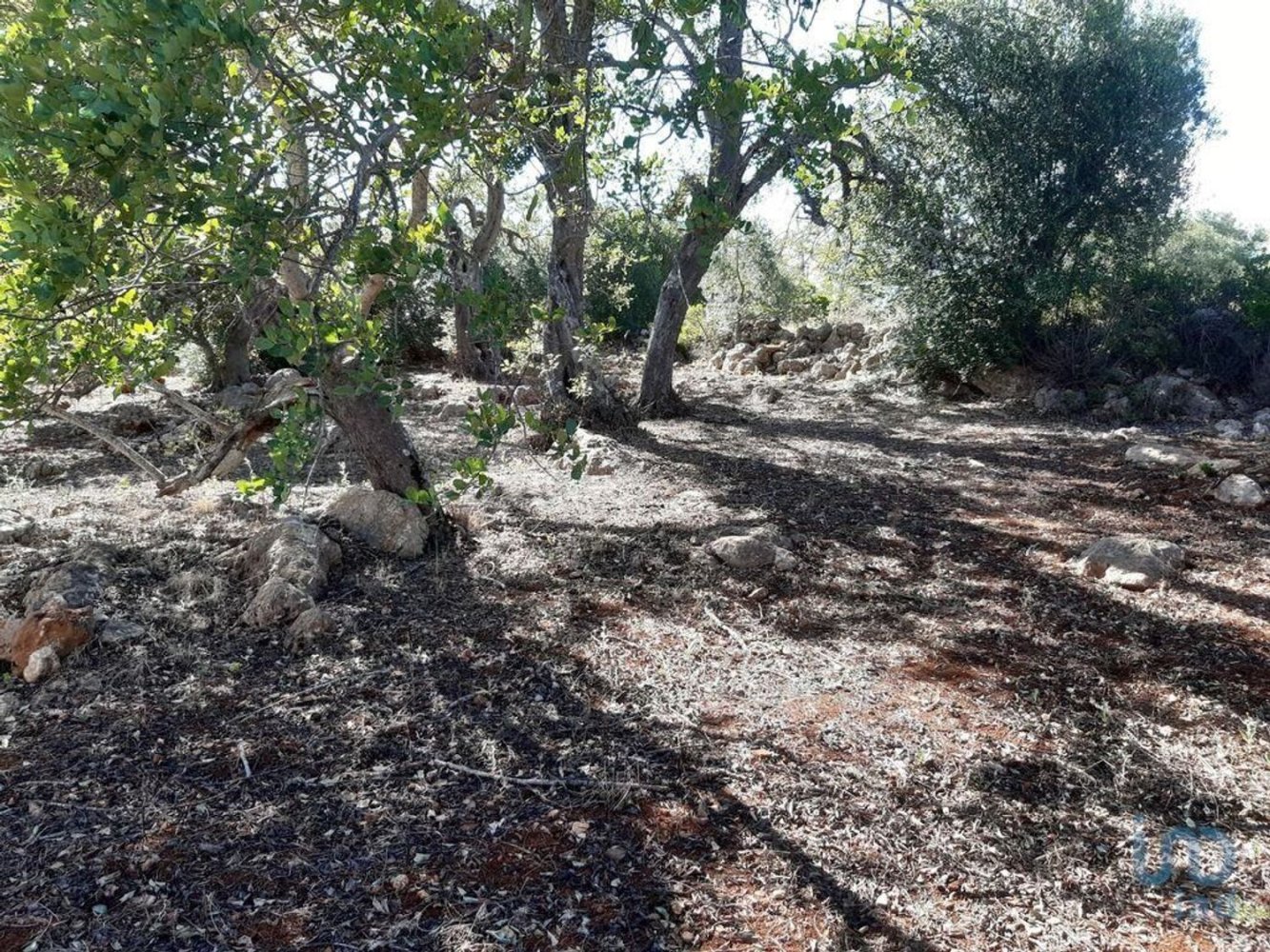  قطعة أرض في Alte, Portugal 6870متر مربع رقم 207668