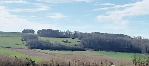 4 bedrooms House in Montmirail, France No. 81585 8