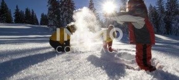 Land in Scharnstein, Austria No. 14457 5