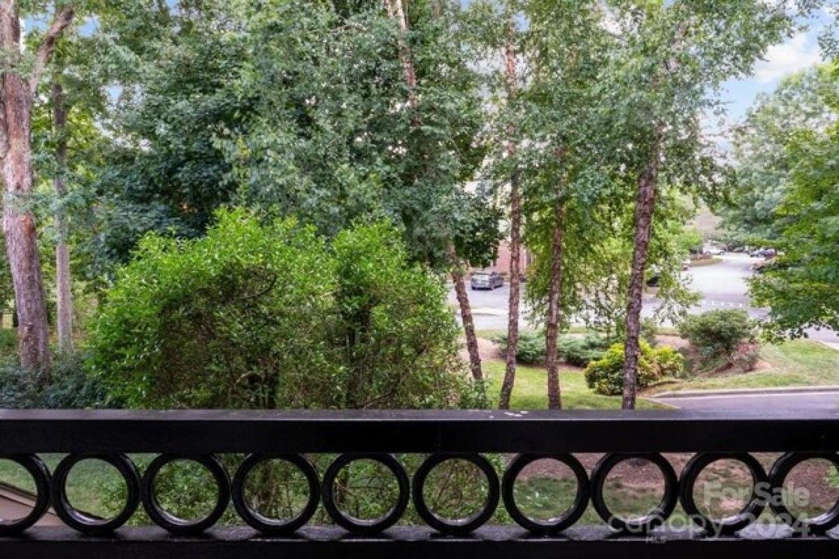 2 غرف نوم منزل في Asheville, USA رقم 378156