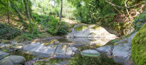 10 rooms House in Cortona, Italy No. 82753 28