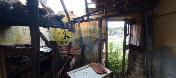 2 Schlafzimmer Haus in Ferreira a Nova, Portugal, Nr. 32398 32