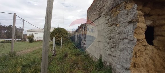 2 Schlafzimmer Haus in Ferreira a Nova, Portugal, Nr. 32398 9