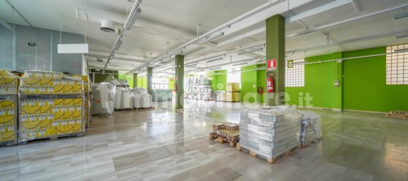 4 rooms Commercial property in Gravina in Puglia, Italy No. 110603 8