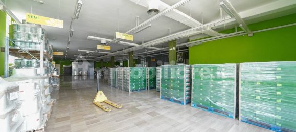 4 rooms Commercial property in Gravina in Puglia, Italy No. 110603 10