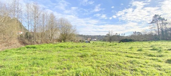 Grundstück in Brion, Spain 3750m², Nr. 45560 18