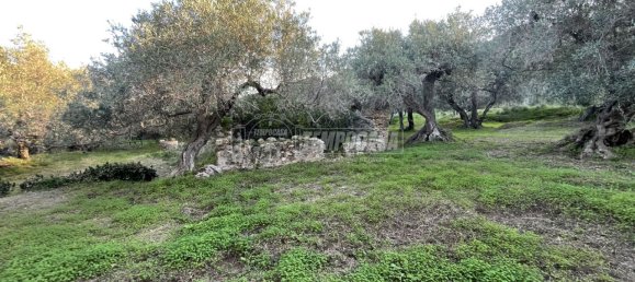 3 rooms Villa in Messina, Italy No. 108824 5