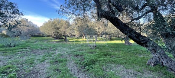 3 rooms Villa in Messina, Italy No. 108824 3