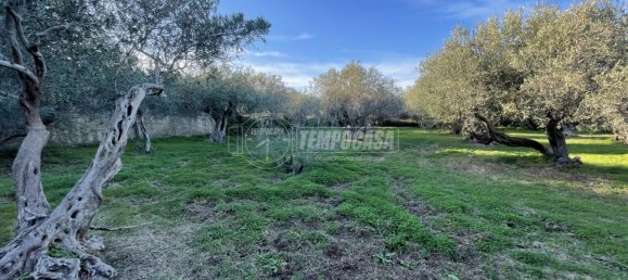 3 rooms Villa in Messina, Italy No. 108824 4