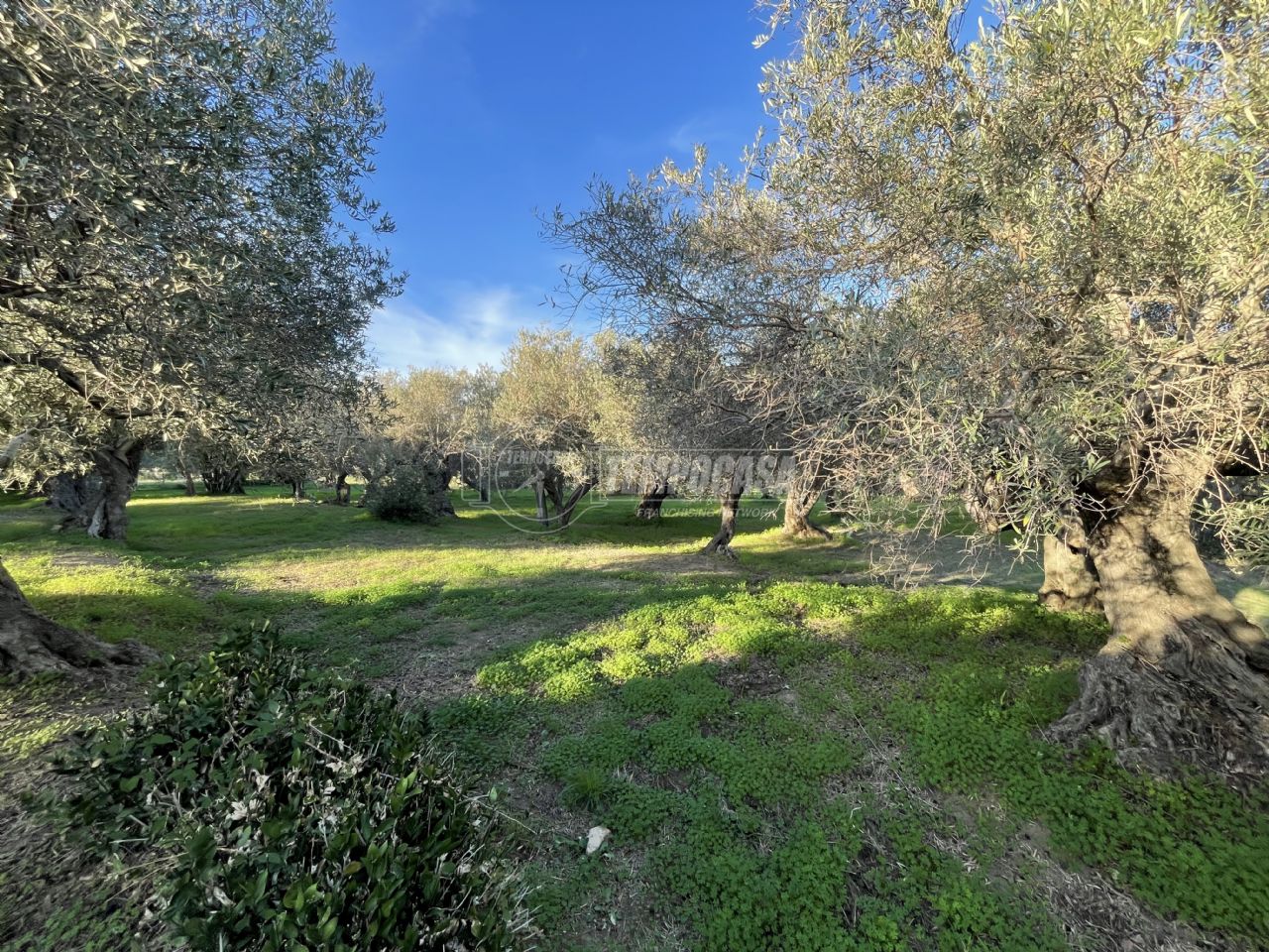 3 rooms Villa in Messina, Italy No. 108824