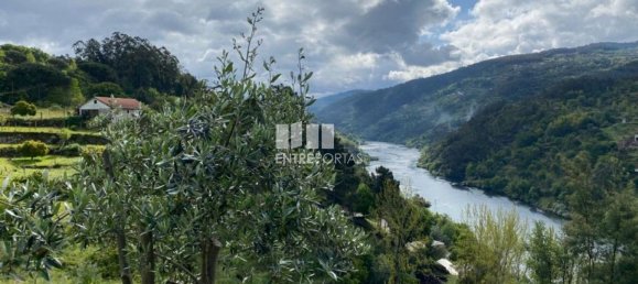 Terreno em Marco de Canaveses, Portugal 6000 m² N.º 51605 29