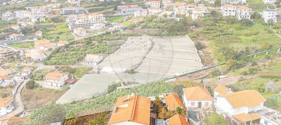 6 bedrooms House in Calheta, Portugal No. 26502 3