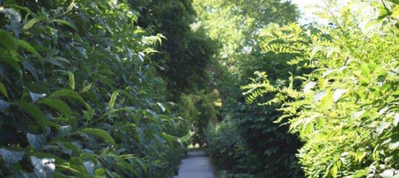 Apartamento de 4 divisões em Wiener Neudorf, Austria N.º 172640 7