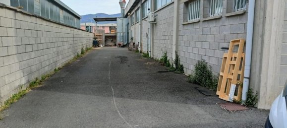 600m² Warehouse in Cascina, Italy No. 221969 3