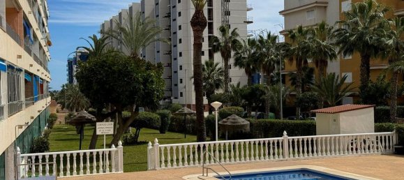 1 chambre Appartement à Torrevieja, Spain No. 180301 12