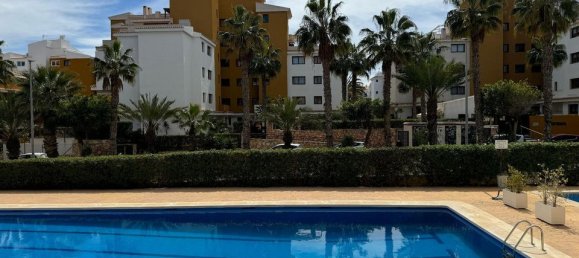 1 chambre Appartement à Torrevieja, Spain No. 180301 11