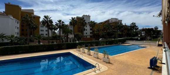 1 chambre Appartement à Torrevieja, Spain No. 180301 10