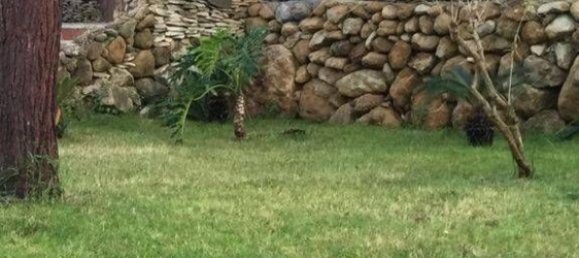 Villa T11 em Monreale, Italy N.º 312779 38