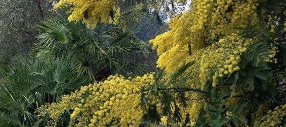 Villa T11 em Monreale, Italy N.º 312779 56