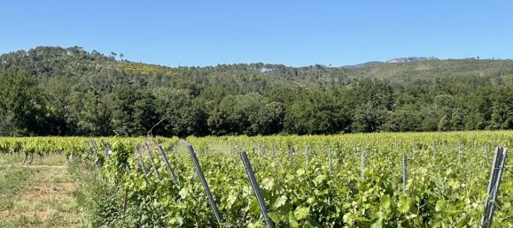 Propriété commerciale à Cotignac, France 310m² No. 824 5