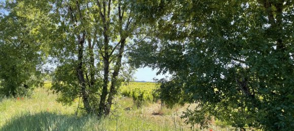 Propriété commerciale à Cotignac, France 310m² No. 824 6