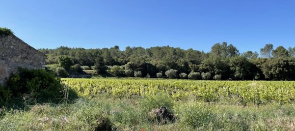 Propriété commerciale à Cotignac, France 310m² No. 824 4