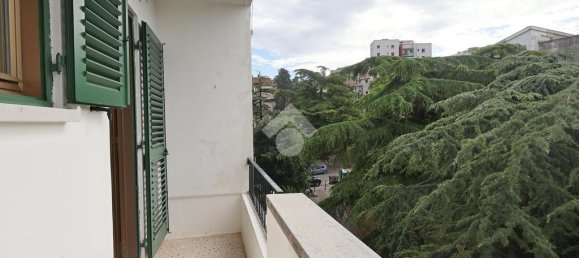 2 bedrooms Apartment in Trieste, Italy No. 257883 9