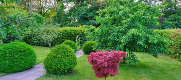 7 bedrooms House in Lippe, Germany No. 187895 4