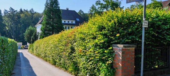 7 bedrooms House in Lippe, Germany No. 187895 11