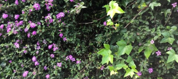 3 bedrooms Apartment in Marbella, Spain No. 114729 16