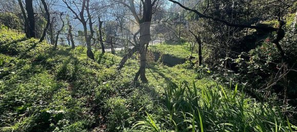 3 bedrooms House in Rio Caldo, Portugal No. 164962 25