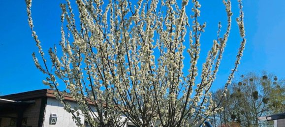 Grundstück in Lichtenrade, Germany, Nr. 292300 15