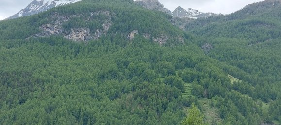 3 bedrooms Apartment in Pragelato, Italy No. 316718 2