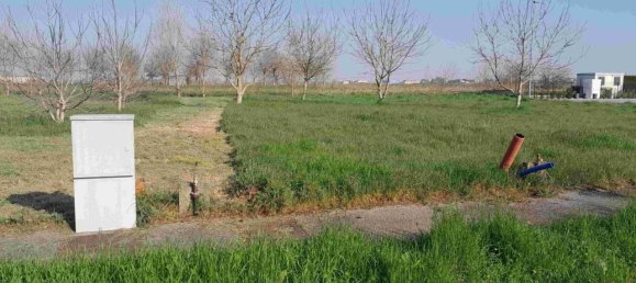  قطعة أرض في Sanguinetto, Italy 862متر مربع رقم 26083 4