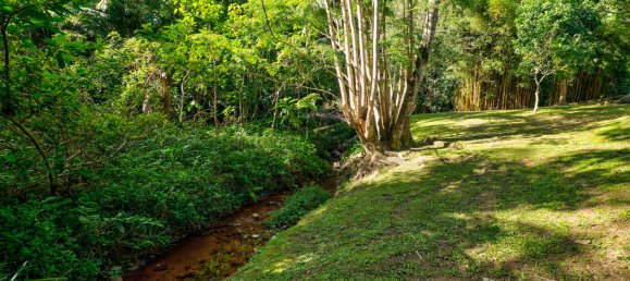 Дом с 3 спальнями в Tamborine Mountain, Австралия № 532 28