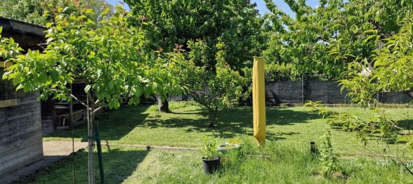 Casa de 5 habitaciónes en Ganserndorf, Austria No. 129058 50