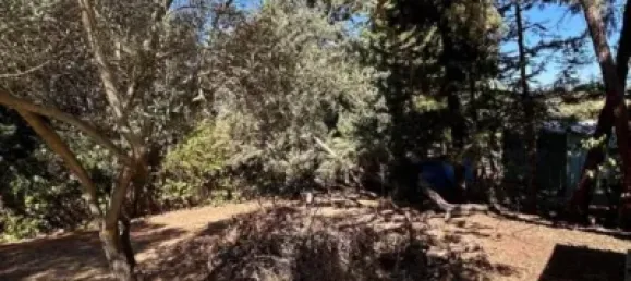 3 Schlafzimmer Haus in Guadalajara, Spain, Nr. 169387 31