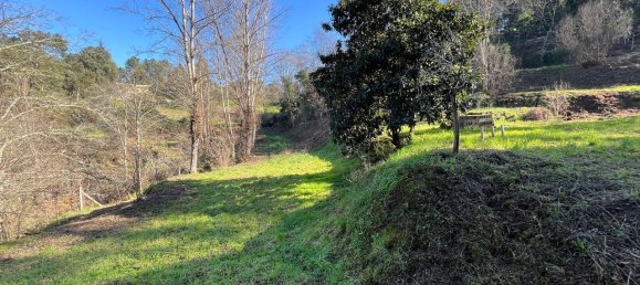 30550m² Land in Amarante, Portugal No. 56638 6