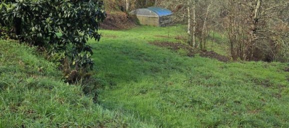 30550m² Land in Amarante, Portugal No. 56638 20