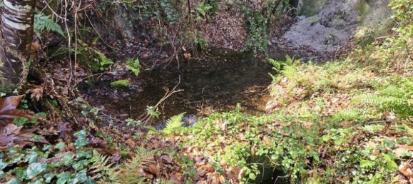 30550m² Land in Amarante, Portugal No. 56638 15