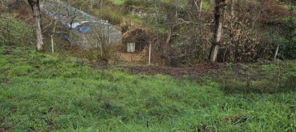 30550m² Land in Amarante, Portugal No. 56638 18