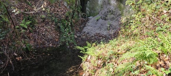 30550m² Land in Amarante, Portugal No. 56638 17