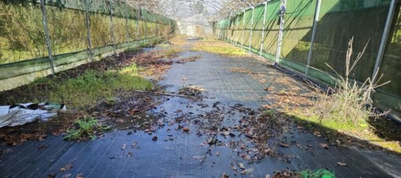 30550m² Land in Amarante, Portugal No. 56638 11