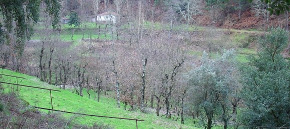 30550m² Land in Amarante, Portugal No. 56638 4