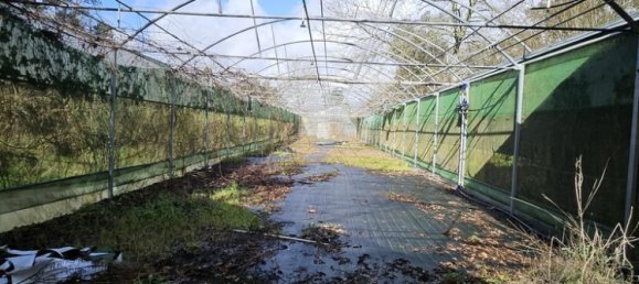 30550m² Land in Amarante, Portugal No. 56638 10