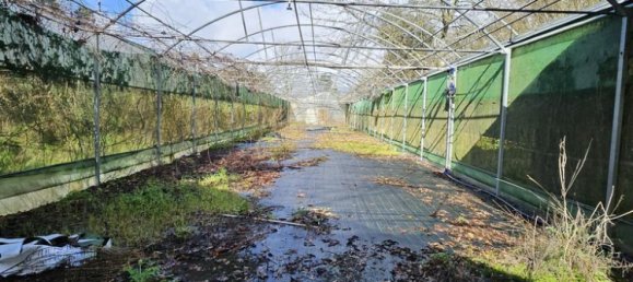 30550m² Land in Amarante, Portugal No. 56638 8